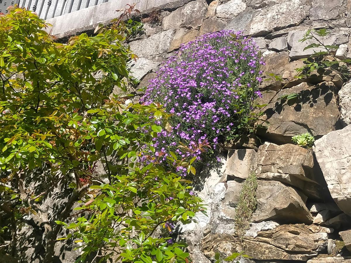 Torre Del Grifone Nel Medioevo Di Cividale Del Friuli Villa Faedis Dış mekan fotoğraf