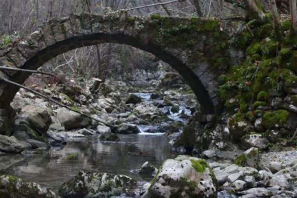 Torre Del Grifone Nel Medioevo Di Cividale Del Friuli Villa Faedis Dış mekan fotoğraf